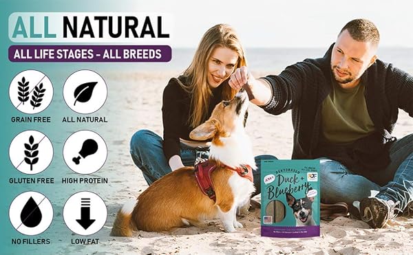 PET JERKY FACTORY PREMIUM DUCK AND BLUEBERRY 12 OZ. DOG JERKY TREATS | 100% HUMAN GRADE | USA MADE | HIGH PROTEIN | GRAIN FREE | LIMITED INGREDIENTS | NO FILLER | BHA-BHT FREE | SOFT-TENDER