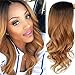 AISI HAIR Long Brown Ombre Wavy Wig Two Tone Curly Big Wavy Wig Heat Resistant Synthetic Honey Blonde Wavy Hair for Women