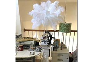 Shekyeon 14-16inch 35-40cm Ostrich Feathers Plumes for Table Decoration Pack of 10 (White)