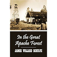 In the Great Apache Forest (1920) book cover