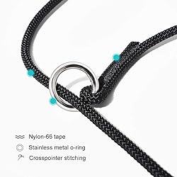 BeauGo Slip Leads for Dogs,Thin Slip Lead,Dog
