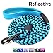 Mycicy 6FT Reflective Dog Leash with Soft Padded Handle for Training,Walking Lead for Large & Medium Dog