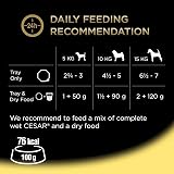 Cesar Garden Terrine Adult Wet Dog Food Chicken with Garden Vegetables 14 x 150g view 4