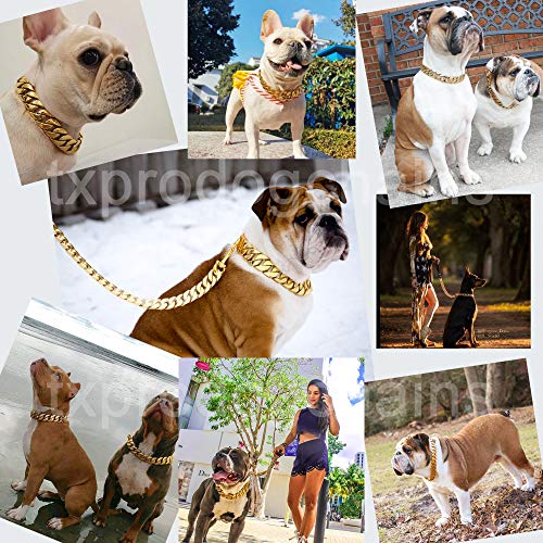 thick dog chain collar