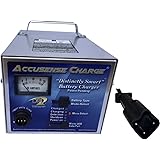 Amazon.com : 48 Volt Golf Cart Battery Charger for Yamaha 2007 and Up