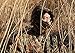 Dxnona® Outdoor Warm Windproof Camouflage Fleece Head Hat Face Mask (multicolor 1)