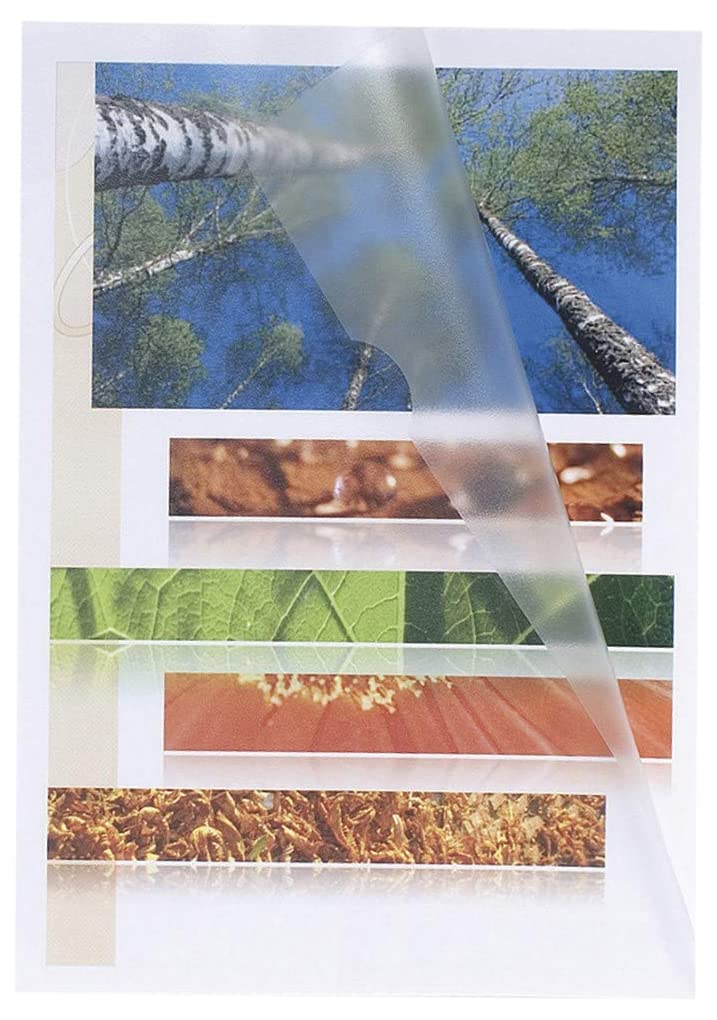 Exacompta - Ref 58600E - Grained PP Cut Flush Folders - 156 x 220mm in Size, Suitable for A5 Documents, 120 Micron Polypropylene - Crystal Clear (Pack of 100)