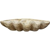 Creative Co-Op Coastal Decorative Magnesia Clamshell, Natural
