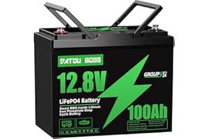 DATOUBOSS 12V 100Ah LiFePO4 Battery BCI Group 24, 1280Wh Lithium Battery Built-in 100A BMS, 15000+ Deep Cycle Battery for RV,