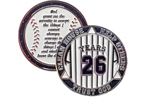 MYRECOVERYSTORE 26 Year AA Medallion Pinstripe Yearly Alcoholics Anonymous chip w/Coin Holder