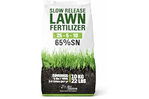 Slow Release Lawn Fertilizer 25-5-10 NPK - 65% Granular Nitrogen Formula for Deep Feeding up to 110 Days - 10kg (22lbs) Bag -