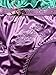 Peachy Panty Lingerie Women's 6 Pack Various Style of Comfortable Satin Panties (Small, Butterfly)