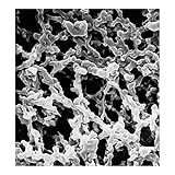 EMD Millipore MF-Millipore GSWP14250 Mixed
