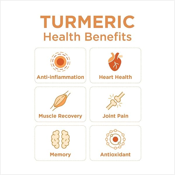 THE GINGER PEOPLE ORGANIC MINCED TURMERIC, NO ARTIFICIAL INGREDIENTS, 6.7OZ (PACK OF 1)