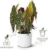 elho B.for Soft Round 18 Indoor Plant Pot 100% Recycled Plastic Ø18.3 x H16.7 view 2
