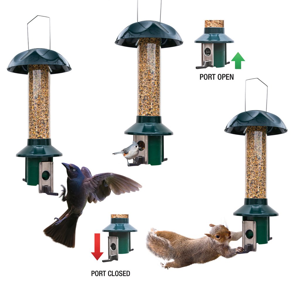 Roamwild PestOff Squirrel Proof Bird Feeder Mixed Seed Sunflower Heart
