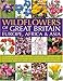 Wildflowers of Great Britain, Europe, Africa & Asia: A comprehensive encyclopedia and guide to the plant diversity of these continents, with ... than 675 maps, illustrations and photographs by