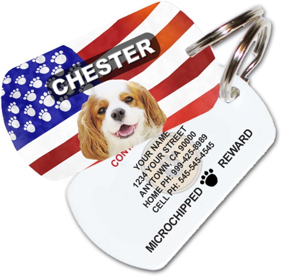 name tags for dogs amazon