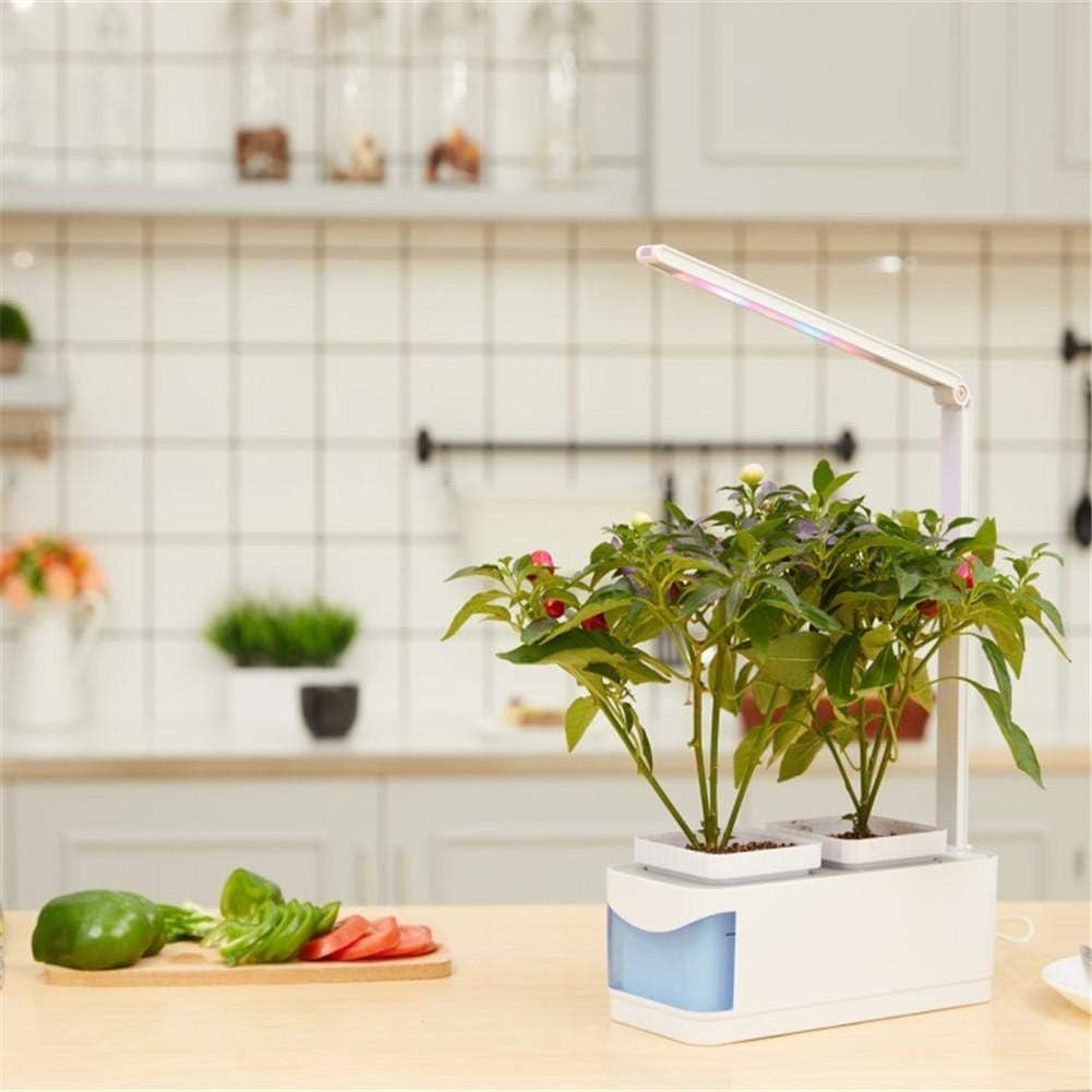 Jardín huerto de Interior Smart Garden – Huerto de Interior 100 ...