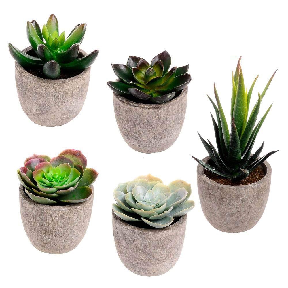 Winlyn Assorted Decorative Faux Succulent Artificial Succulent Cactus