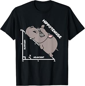Funny Geometry Hypotenuse Math Mathematics Teacher T-Shirt