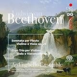 BEETHOVEN:SERENADE AND STRING TRIO                 image