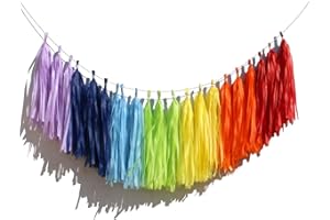 Bining 14 in Rainbow Paper Tassel DIY Hanging Paper Decorations Party Garland Decor for Party Decorations Wedding,Festival,Ba