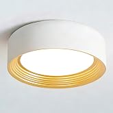 Suenigle 11.81 Inch Dimmable Modern LED Flush Mount Ceiling Light Fixture | 5CCT 24W, 3000K‑6000K Round White Gold Close to Ceiling Lamp, Ceiling Lighting for Bedroom,Hallway,Laundry Room,Bathroom