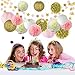 Pink and Gold Party Decorations, Pom Poms Flowers Kit + Star Paper Garland + Tissue Paper lantern for 1st Birthday Girl Decorations Kids Birthday Bridal Shower Baby Shower wedding by Litaus