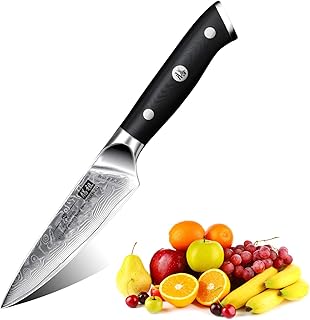 SHAN ZU Damast Schälmesser Obst und Gemüsemesser Küchen Messer Klein 67 Schichten Damaszener Messer mit G10 Griff - PRO Series