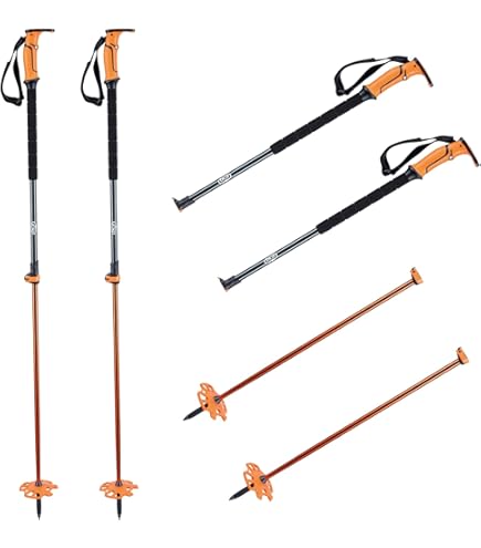 Amazon.com : Backcountry Access Scepter 4S : Sports & Outdoors