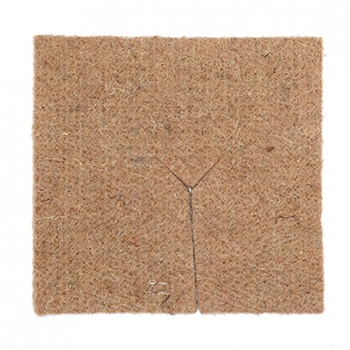 The cordeline Square Set of 2 Natural Litter 1 x 52.5 x 52.5 cm cjn10 °C