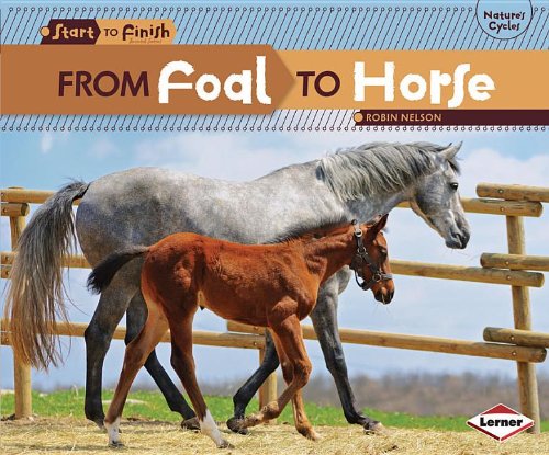 From Foal to Horse (Start to Finish, Second (Paperback))