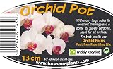 Growth Technology Clear Orchid Pot 13cm Green view 4
