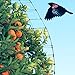 ASPECTEK Bird Net for Gardens and Crops (6.56 x 20 feet)