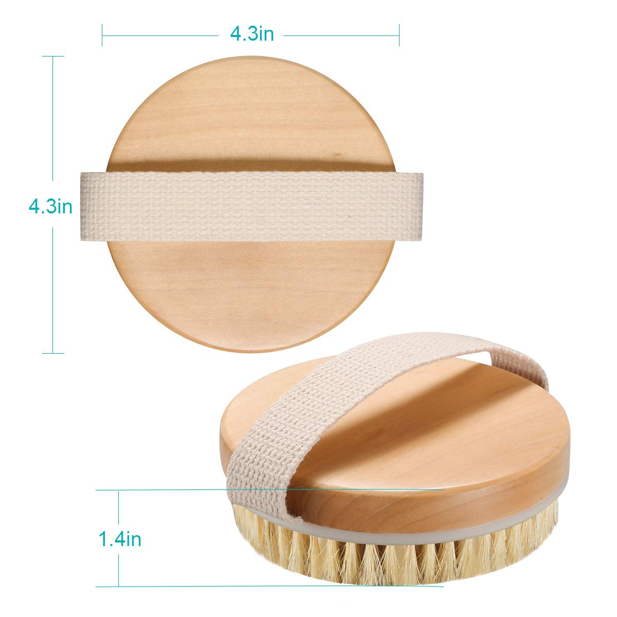 AmazerBath 2 Pack Body Scrub Brush, Dry Body Brush Exfoliator for Cellulite and Lymphatic, Dry Brushing Body Brush For Massage, Body Skin : Beauty