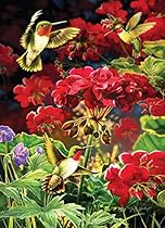 Ruby Geraniums