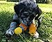 Squeaky Sensory Snake Dog Toy Small Natural Rubber (Latex) Chemical-Free Complies with Same Safetystandards as Children’s Toys Soft Unstuffed