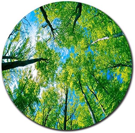 Beautiful Spring Natural Scene Green Tree Round Mouse Pad