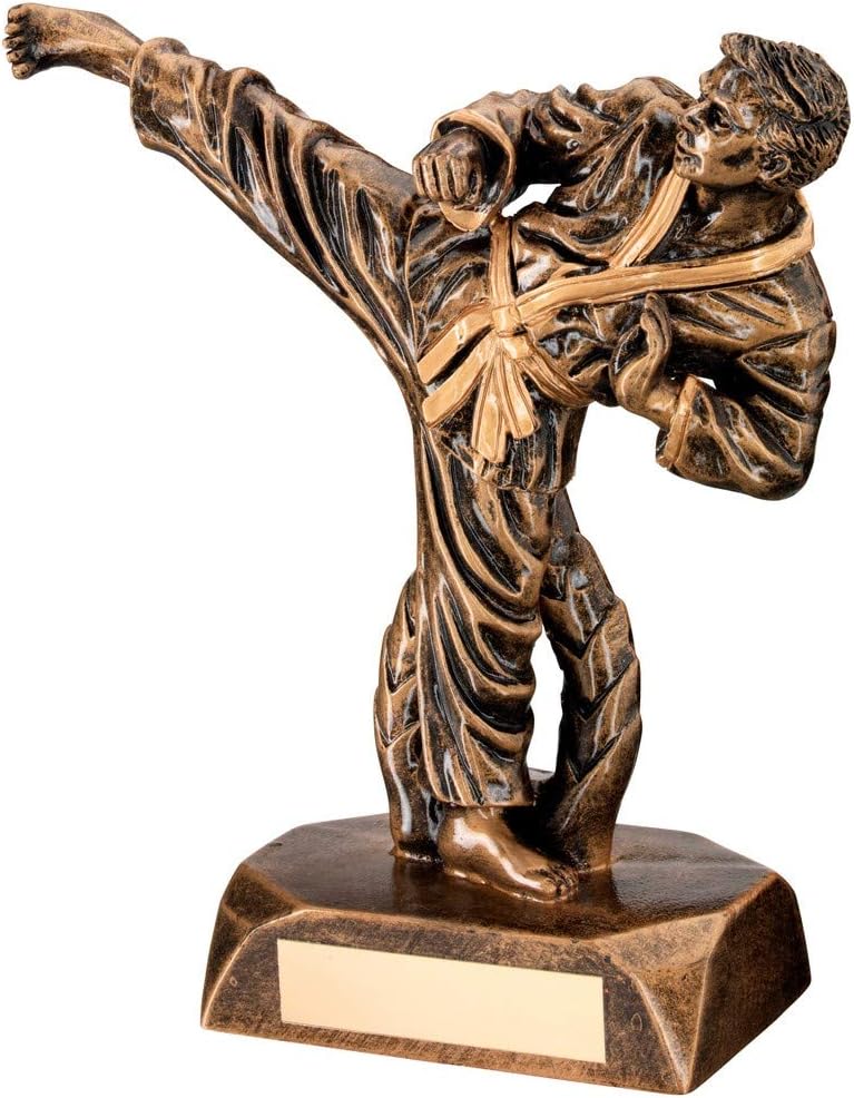 Tumble New Karate Figure Trophy,award, 165 mm, Free Engraving(RF30A) TD