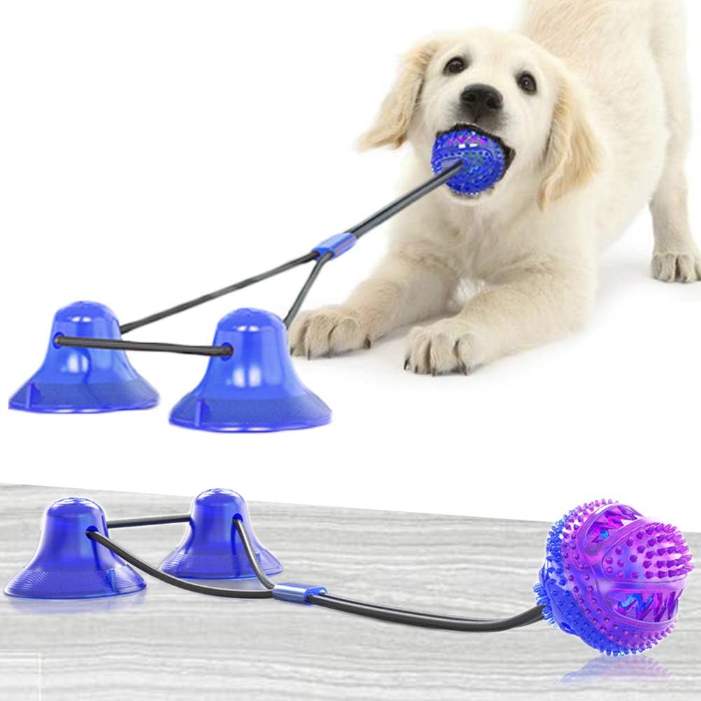suction cup dog toy with ball