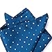 Mens 10 Pack Assorted Pocket Square Handkerchief Hanky (D1)