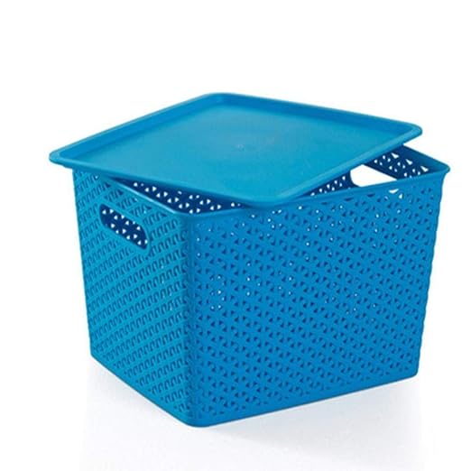 Amazon.com : La caja de almacenamiento doméstica Puede cubrir la