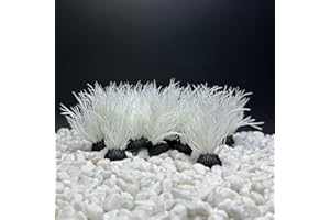 Smoothedo-Pets Aquarium Plants Fish Tank Decorations 20pcs Small Size/2inch Tall Plastic Artificial Plant Goldfish Waterscape Fish Hides Mini Grass Set (White)