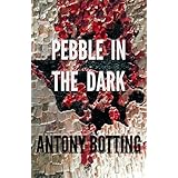 Pebble in the Dark (Pebble in the Dark, Book 1)