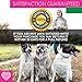 Piper and Olive Glucosamine Chondroitin, Hip and Joint, MSM, Organic Turmeric Soft Chews Supplement for Dogs, Supports Healthy Joint Function, 120-Count
