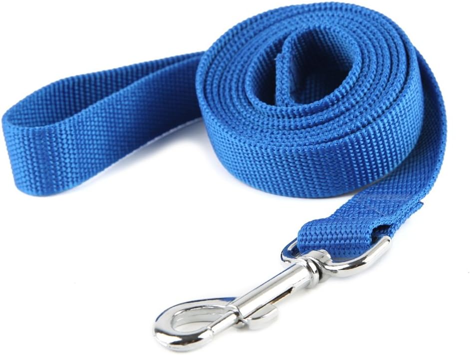 Strong Durable Nylon Dog Leash, for Medium Large Dogs Walking, Training or Exploring, 10 feet Long 1 inch Wide