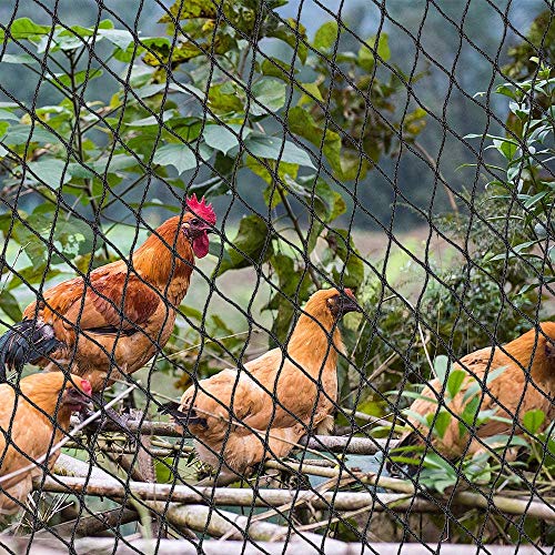 ZL 11 Bird 20' X 50' Netting for Poultry Aviary Game Pens New 2" Squa