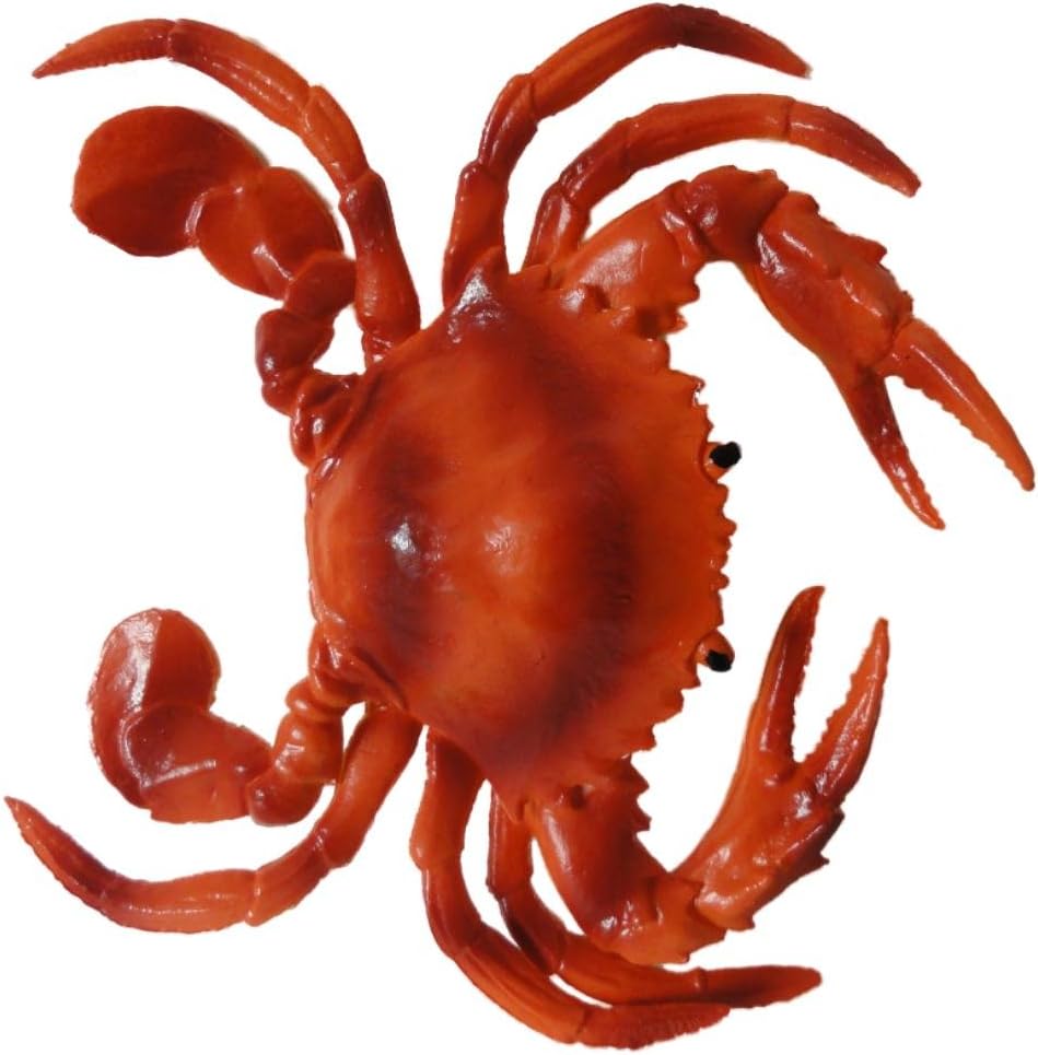 Plastic CRAB Toy Novelty Sea Life Prop Orange Amazon.co.uk