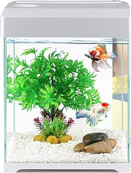 Amazon フィルター付きデスクトップ小さな水族館 生態水槽アクアリウムガラスベタ水槽 水耕スターター水槽 Lxftk 水槽 通販